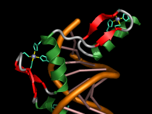 ZIF-DNA